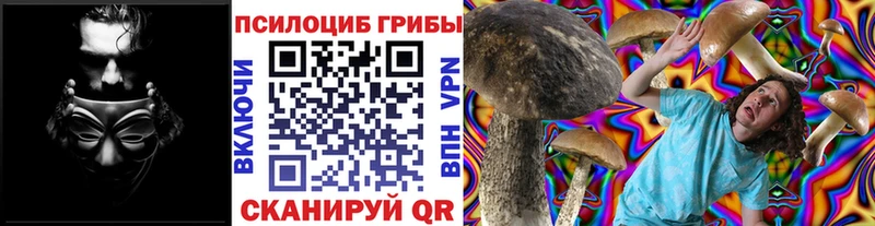 Псилоцибиновые грибы MAGIC MUSHROOMS  Купить  Дагестанские Огни 